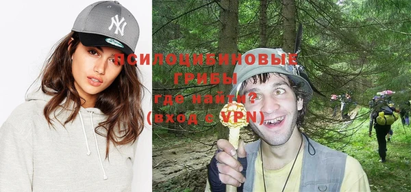 ПСИЛОЦИБИНОВЫЕ ГРИБЫ Бугульма