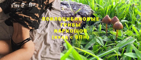 круглые Бронницы