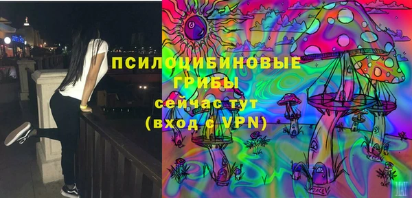 круглые Бронницы