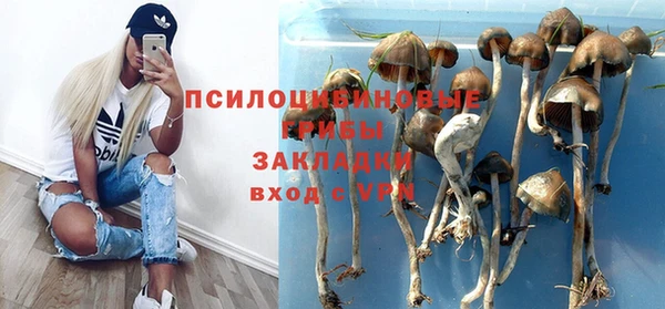 ПСИЛОЦИБИНОВЫЕ ГРИБЫ Бугульма