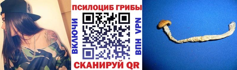 shop состав  Кола  Галлюциногенные грибы GOLDEN TEACHER 